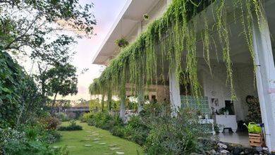 Jual Rumah 500 di Nusa Dua, Badung