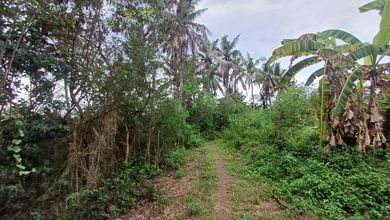 Jual Murah Tanah 266000 m2 Kawasan Strategis