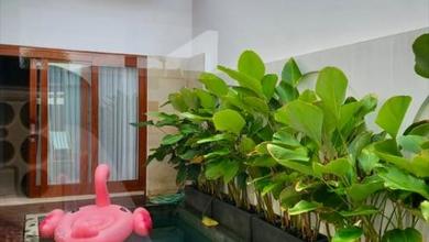 Rumah Area Luxury Nusa Dua, Badung - Harga Menarik 3,25 Miliar