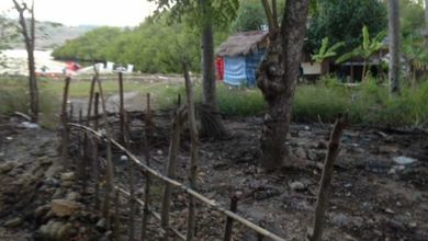 For Sale Tanah Eksklusif di Klungkung, Nusa Lembongan, LT 316000m²