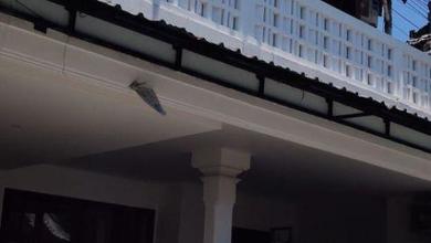 Rumah Minimalis Disewakan di Kerobokan, Badung, Harga Ekonomis