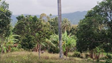 Jual Tanah Minimalis di Area Sembalun, Lombok Timur