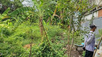 Tanah Kosong untuk Disewa di Munggu, Harga 170 Ribu