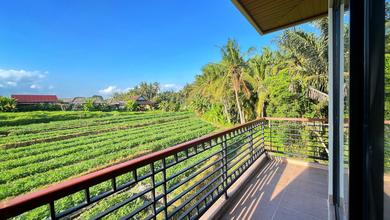 Rumah Minimalis Disewakan di Ubud, Gianyar, Harga Ekonomis