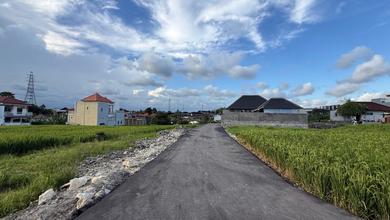 Jual Tanah di Lokasi Premium Canggu, Badung, Harga 750 Juta