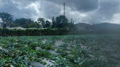 Tanah Elit Dijual di Lembang, Bandung, Harga 5,7 Miliar