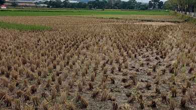 Tanah Elit Dijual di Soekarno Hatta, Bandung, Harga 9800 Triliun