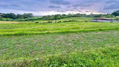 Tanah Luas 5472 m2 Kawasan Strategis Tabanan, Dijual Murah