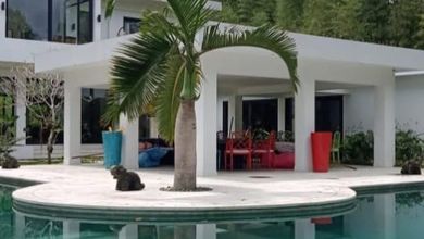 Rumah Area Luxury Ubud, Gianyar - Harga Terbaik 14,5 Miliar