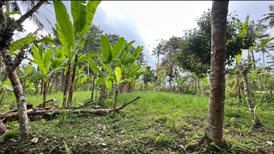 For Sale Tanah Eksklusif di Payangan, Gianyar, LT 2200m²