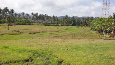 Jual Cepat Tanah Terjangkau di Tabanan, Tabanan, LT 10000m²