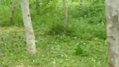 For Sale Tanah Premium di Padalarang, Bandung Barat, LT 20000m²