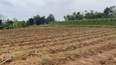 Tanah Elit Dijual di Ciomas, Bogor, Harga 5 Miliar