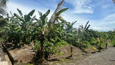 Jual Cepat Tanah Murah di Gianyar, Gianyar, LT 85m²