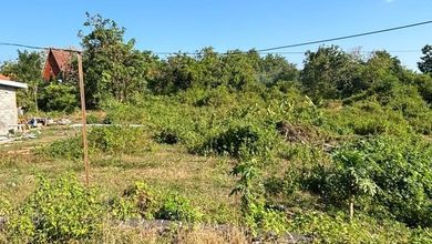 Jual Tanah di Lokasi Premium Mumbul, Badung, Harga 621 Juta
