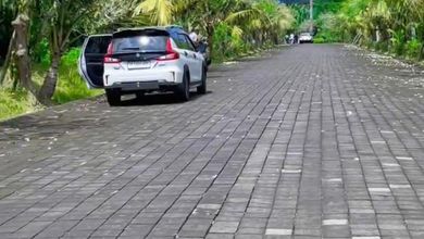 Jual Tanah Terjangkau di Area Gianyar, Gianyar