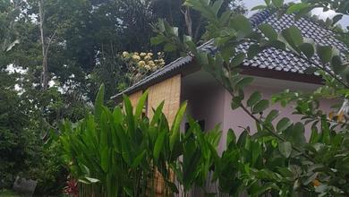 Rumah Minimalis Disewakan di Denpasar Timur, Denpasar, Harga Ekonomis