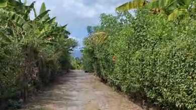 Tanah Elit Dijual di Singaraja, Buleleng, Harga 900 Miliar