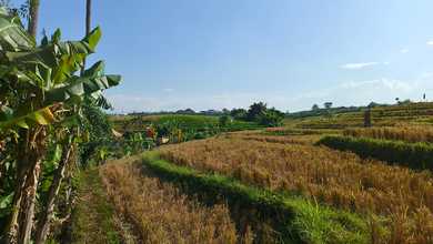 For Sale Tanah Premium di Canggu, Badung, LT 22m²