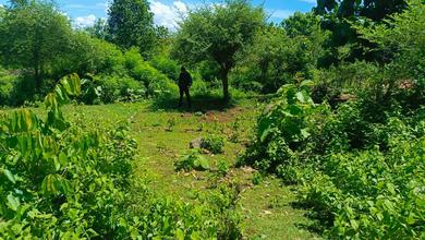 Tanah Elit Dijual di Kuta, Badung, Harga 157 Miliar