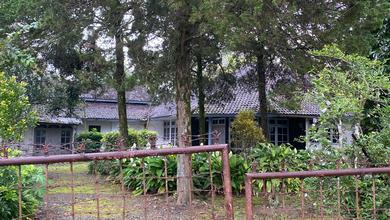 Dijual rumah Premium di Banyuwangi, Banyuwangi - LT 11930m²