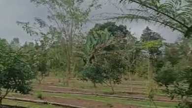 Tanah Elit Dijual di Bangli, Tabanan, Harga 9,5 Triliun