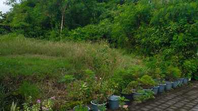 Dijual Tanah Premium di Denpasar Utara, Denpasar, LT 205m²