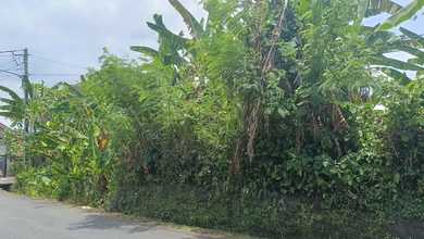 For Sale Tanah Eksklusif di Canggu, Badung, LT 11600m²