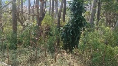 Tanah Siap Bangun di Cluster Tanjungsari Sumedang