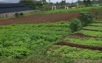 Jual Tanah Lokasi Strategis, Luas 50000 m2