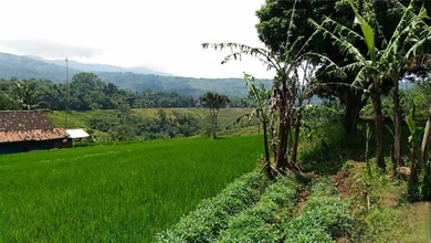 Kavling dengan Harga Terjangkau Daerah Cicalengka Bandung
