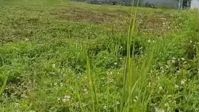 Dijual Tanah Eksklusif di Buah Batu, Bandung, LT 3810m²