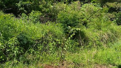 Dijual Tanah Eksklusif di Ciumbuleuit, Bandung, LT 3145m²