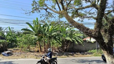 Dijual Tanah Premium di Cianjur, Cianjur, LT 995m²