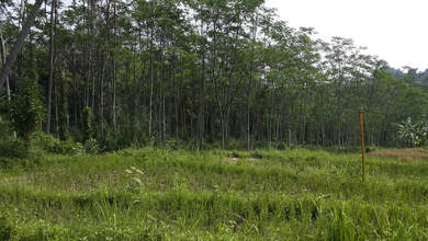Jual Tanah Lokasi Cluster Padalarang Pemandangan Danau dan Taman