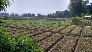 Tanah Dekat Komersil Lokasi Soreang, Ideal untuk Mendirikan Bisnis