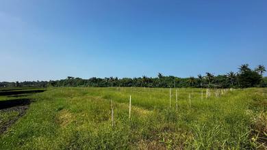 For Sale Tanah Eksklusif di Tabanan, Tabanan, LT 3000m²