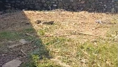 Jual Cepat Tanah Prospektif di Jimbaran, Badung, LT 146m²