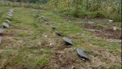 Kavling Prestisius Dijual di Sukajadi, Bandung, Harga 20 Miliar