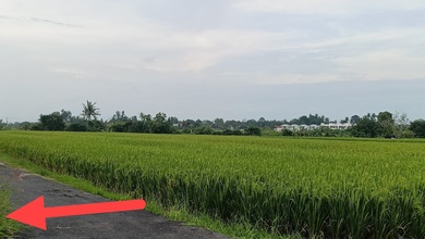 Segera Miliki Tanah Harga Ekonomis di Kedungu, Tabanan