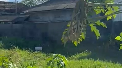 Dijual Tanah Prospektif di Denpasar Selatan, Denpasar, LT 300m²