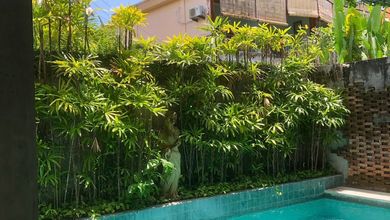 7Br Guest House In Canggu, Bali - Furnished, Freehold, Near Beach