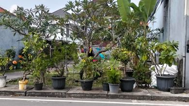 Jual Tanah Lokasi Komplek Denpasar Barat Pemandangan Danau dan Taman