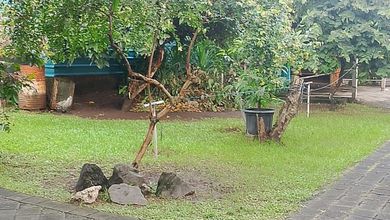 Tanah Strategis di Denpasar Timur, Denpasar, Harga 36,4 Juta