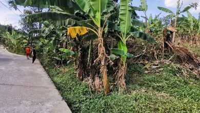 Dijual Tanah Eksklusif di Cimenyan, Bandung, LT 1960m²