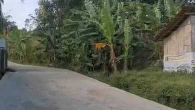 For Sale Tanah Eksklusif di Cimenyan, Bandung, LT 1960m²