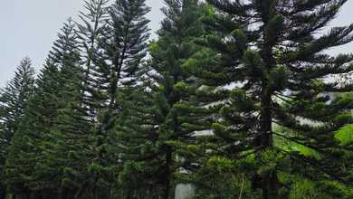 Kavling Prestisius Dijual di Pondok Hijau, Bandung, Harga 5,23 Miliar