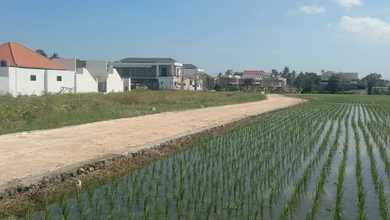 Disewakan Tanah Murah di Munggu, Badung, LT 1700m²