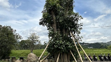 For Sale Tanah Eksklusif di Setiabudi, Bandung, LT 1100m²