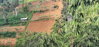 Kavling dengan Nilai Terjangkau Kawasan Dago Bandung